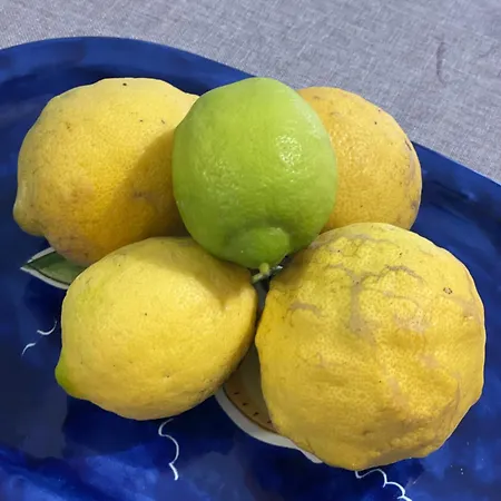 Apartment Ninni'& Nanna' Cetara